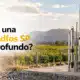 como elegir una bomba grundfos sp para pozo profundo