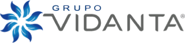 Grupo Vidanta